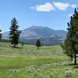 Meet your Posher, Pamela